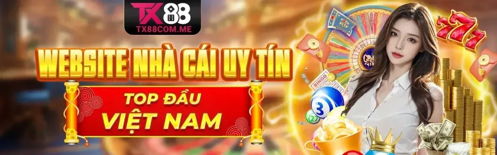 Hình ảnh tổng quan trang Điều khoản dịch vụ hb888 link vào