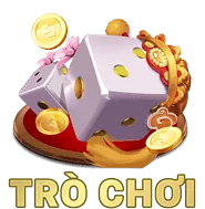 Hình ảnh minh họa quá trình thu thập dữ liệu an toàn